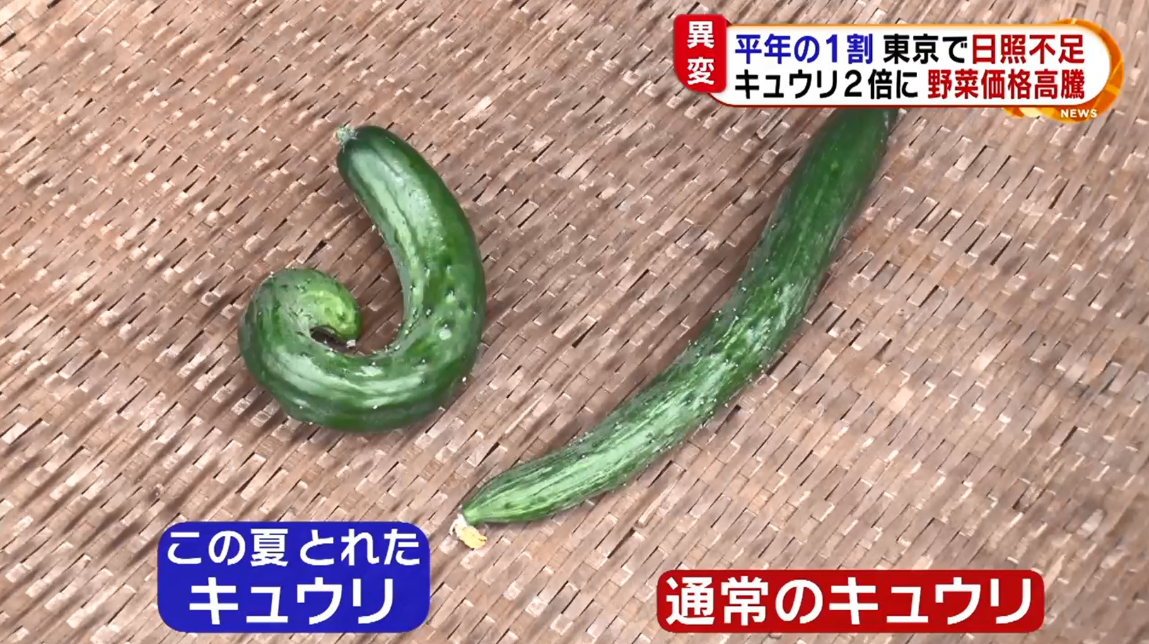 大田市場の野菜ニュース 0710 業務用野菜のベジクル
